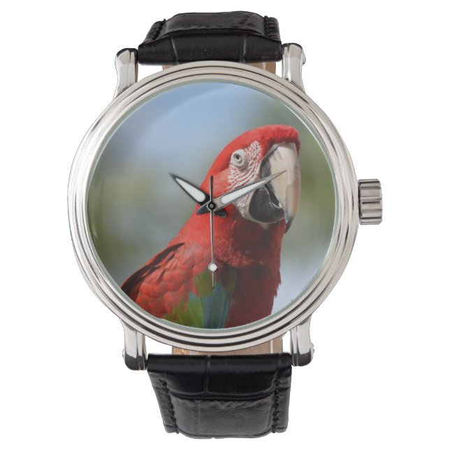 Scarlet Red Macaw Armbanduhr (Vorderseite)