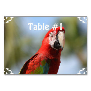 Scarlet Red Macaw Tischnummer