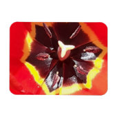 Scarlet Red Tulip Flexible Magnet (Horizontal)