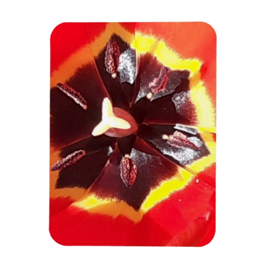 Scarlet Red Tulip Flexible Magnet (Vertikal)