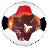 Scarlet Red Tulip Fußball (Gedreht)