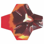 Scarlet Red Tulip Fußball (Flach)