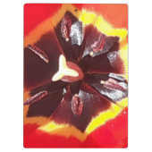 Scarlet Red Tulip Klemmbrett (Rückseite)