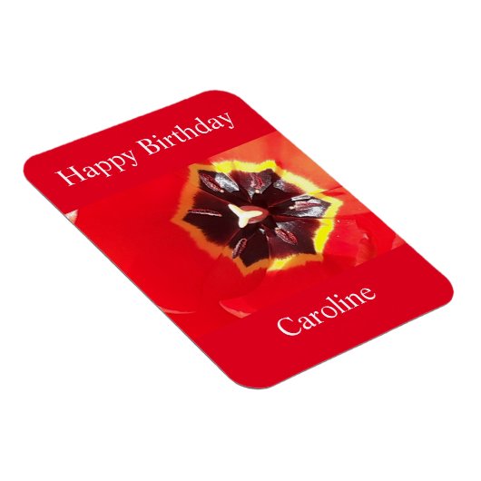 Scarlet Red Tulip Magnet (Rechte Seite)