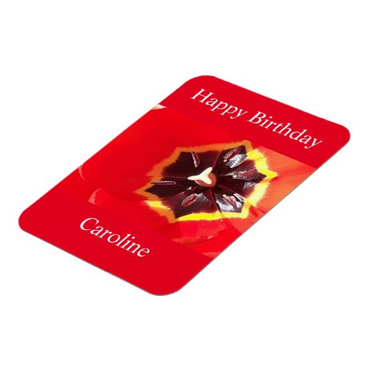 Scarlet Red Tulip Magnet (Linke Seite)