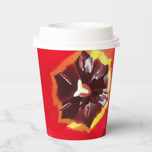 Scarlet Red Tulip Pappbecher (Rückseite)