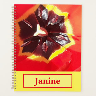 Scarlet Red Tulip Planer