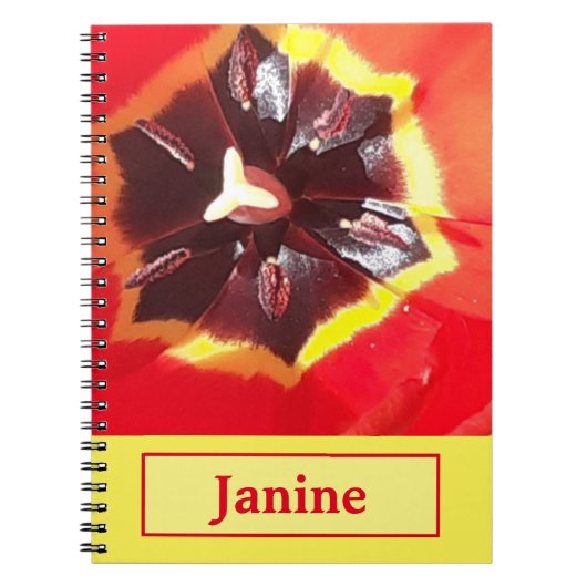 Scarlet Red Tulip Spiral Notebook Notizblock (Vorderseite)