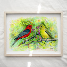 Scarlet Tanager Birds Aquarell Kunst, Dichtung und