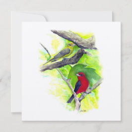 Scarlet Tanager Couple Art