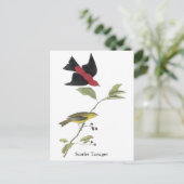 Scarlet Tanager - John James Audubon Postkarte (Stehend Vorderseite)