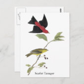 Scarlet Tanager - John James Audubon Postkarte (Vorne/Hinten)