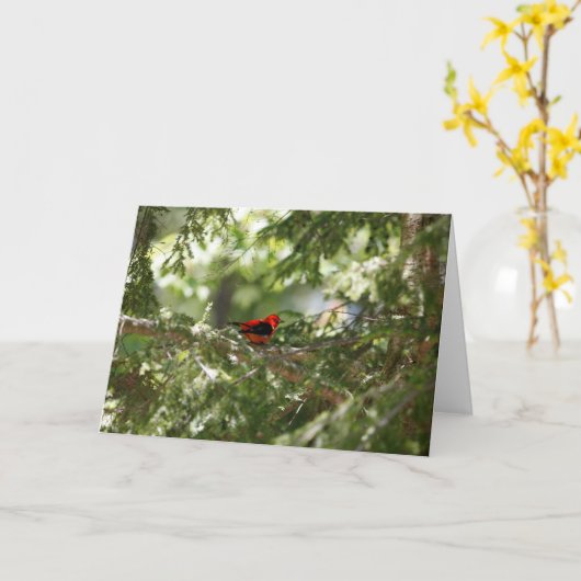 Scarlet Tanager Karte (Gelbe Blume)