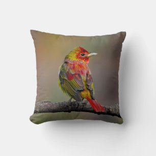 Scarlet Tanager-Mauserung - Originalfotografie Kissen
