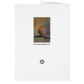 Scarlet Tanager Molting - Original Foto (Hinten)