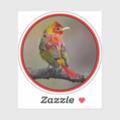 Scarlet Tanager Molting - Original Foto Aufkleber (Blatt)