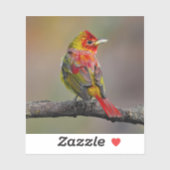 Scarlet Tanager Molting - Original Foto Aufkleber (Blatt)