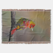 Scarlet Tanager Molting - Original Foto Decke (Vorderseite)