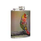 Scarlet Tanager Molting - Original Foto Flachmann (Rechts)