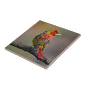 Scarlet Tanager Molting - Original Foto Fliese (Seite)