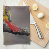 Scarlet Tanager Molting - Original Foto Geschirrtuch (Viertel Falte)