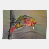 Scarlet Tanager Molting - Original Foto Geschirrtuch (Horizontal)