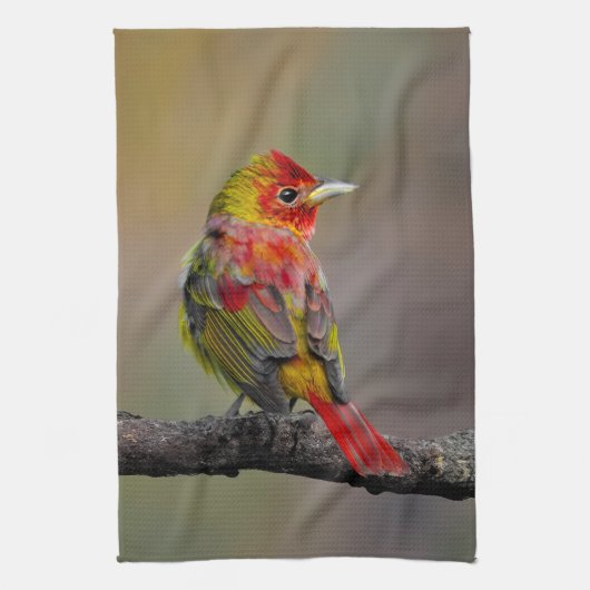 Scarlet Tanager Molting - Original Foto Geschirrtuch (Vertikal)