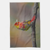 Scarlet Tanager Molting - Original Foto Geschirrtuch (Vertikal)