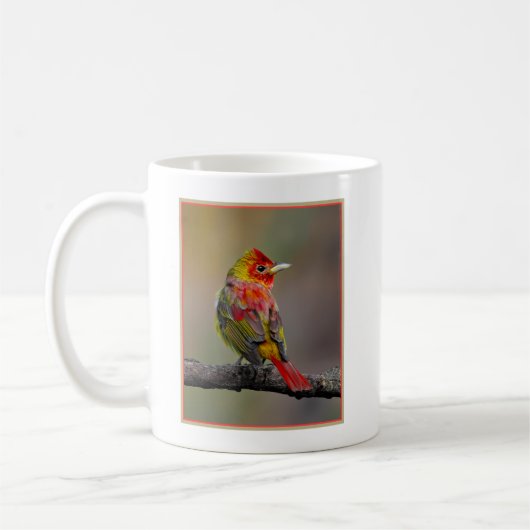 Scarlet Tanager Molting - Original Foto Kaffeetasse (Links)