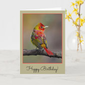 Scarlet Tanager Molting - Original Foto Karte (Gelbe Blume)