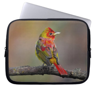 Scarlet Tanager Molting - Original Foto Laptopschutzhülle