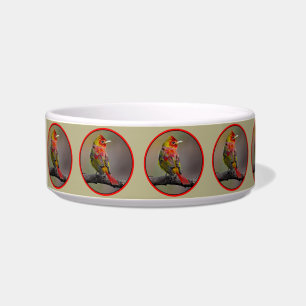 Scarlet Tanager Molting - Original Foto Napf
