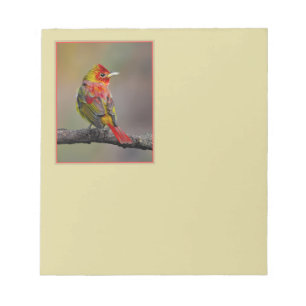 Scarlet Tanager Molting - Original Foto Notizblock