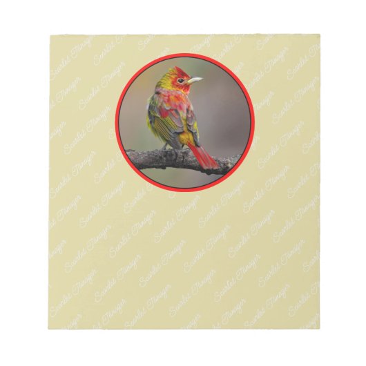 Scarlet Tanager Molting - Original Foto Notizblock (Vorderseite)