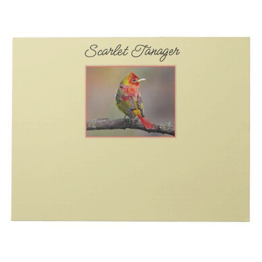 Scarlet Tanager Molting - Original Foto Notizblock (Vorderseite)