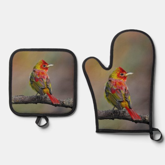 Scarlet Tanager Molting Original Foto Ofenhandschuh & Topflappen-Set (Vorderseite)