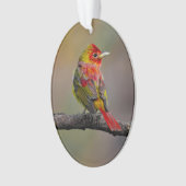 Scarlet Tanager Molting - Original Foto Ornament (Vorderseite)