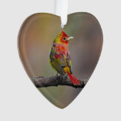 Scarlet Tanager Molting - Original Foto Ornament (Vorderseite)