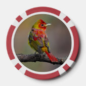 Scarlet Tanager Molting - Original Foto Pokerchips (Rückseite)