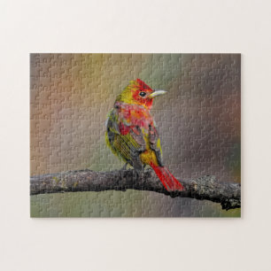 Scarlet Tanager Molting - Original Foto Puzzle