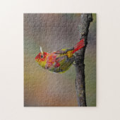 Scarlet Tanager Molting - Original Foto Puzzle (Vertikal)