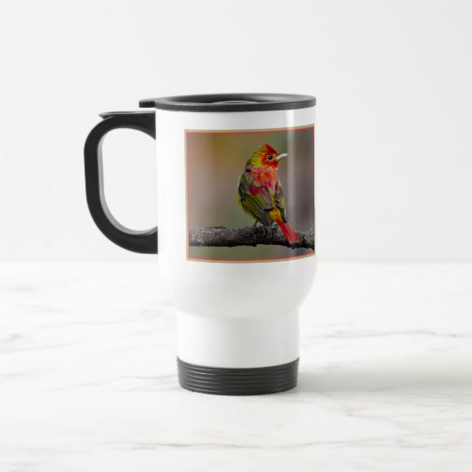 Scarlet Tanager Molting - Original Foto Reisebecher (Links)