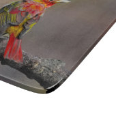 Scarlet Tanager Molting - Original Foto Schneidebrett (Ecke)