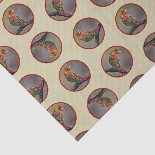 Scarlet Tanager Molting Original Foto Seidenpapier (Ausschnitt)