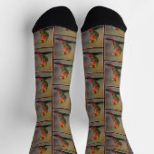 Scarlet Tanager Molting Original Foto Socken (Oben)