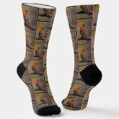 Scarlet Tanager Molting Original Foto Socken (Gewinkelt)