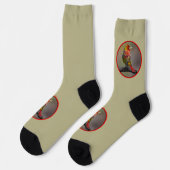 Scarlet Tanager Molting - Original Foto Socken (Linkes Detail)
