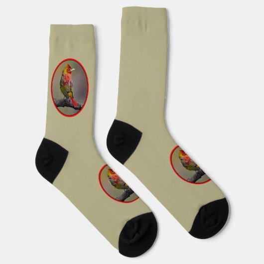 Scarlet Tanager Molting - Original Foto Socken (Rechts)