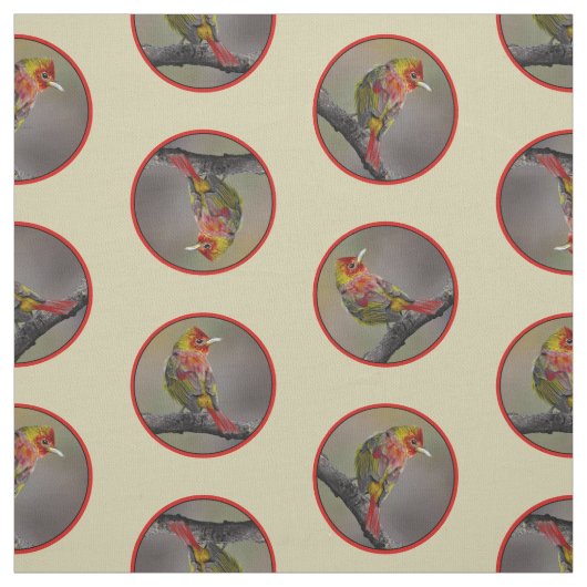 Scarlet Tanager Molting Original Foto Stoff (Muster)