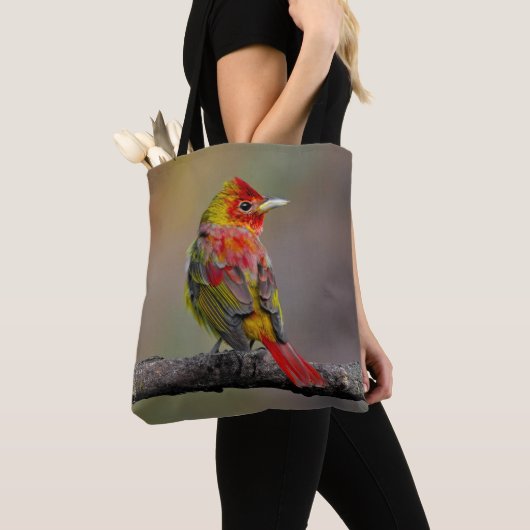 Scarlet Tanager Molting - Original Foto Tasche (Von Nahem)